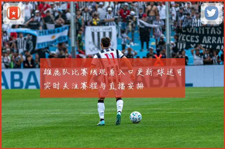 雄鹿队比赛线观看入口更新 球迷可实时关注赛程与直播安排