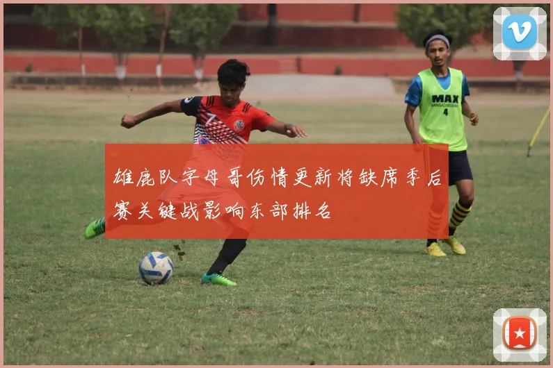雄鹿队字母哥伤情更新将缺席季后赛关键战影响东部排名