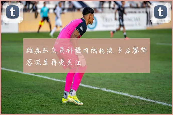 雄鹿队交易补强内线轮换 季后赛阵容深度再受关注