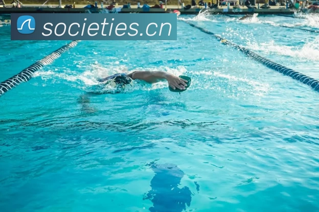 App Interface Preview